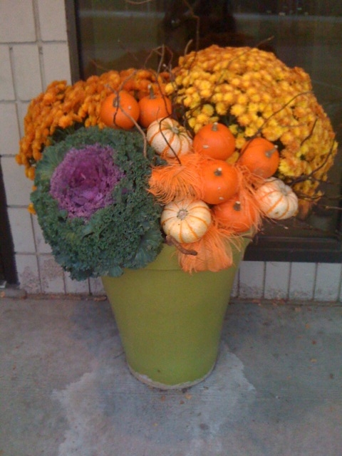 Fall container recipes